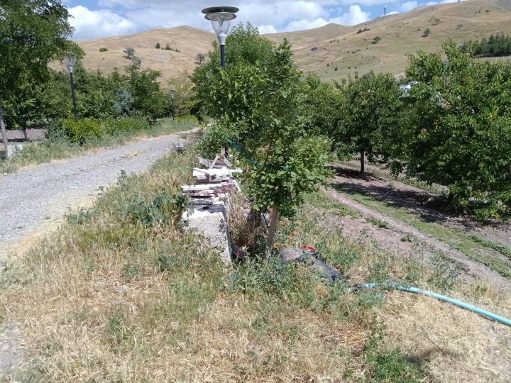 Elmadağ Piknik bahçe içi yolu