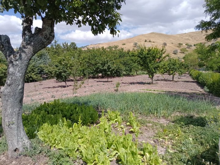 Elmadağ Piknik sebze bahçesi ve tepe manzarası